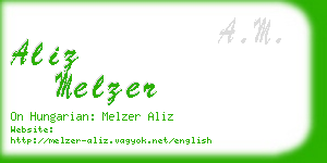 aliz melzer business card